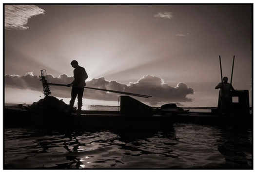 image of Save the Apalachicola